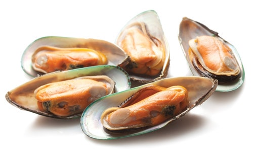 Mussels-500x314px